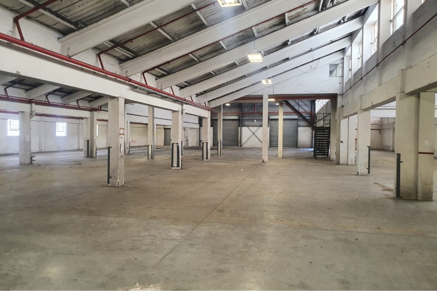 To Let commercial Property for Rent in Deal Party Eastern Cape